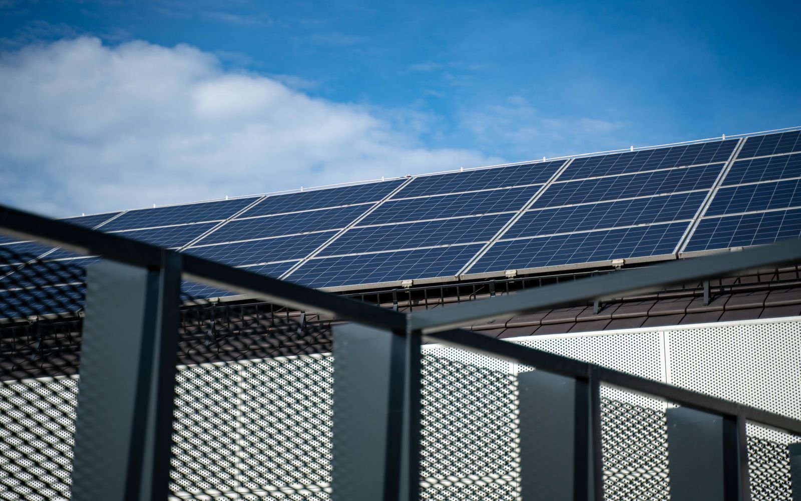 Paneles solares